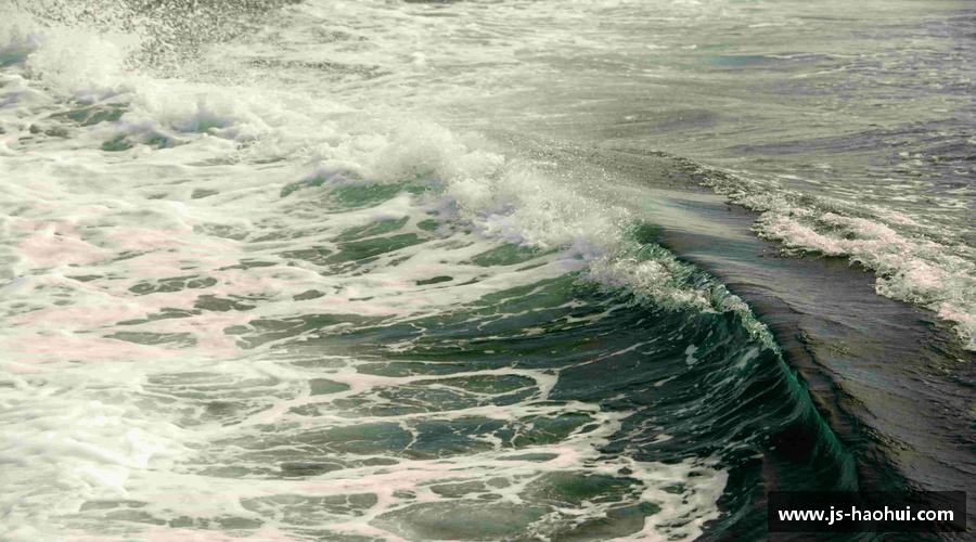 乐彩汇APP携手共进，齐心迈向成功！